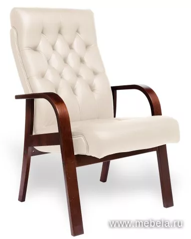 кресло Дарвин D