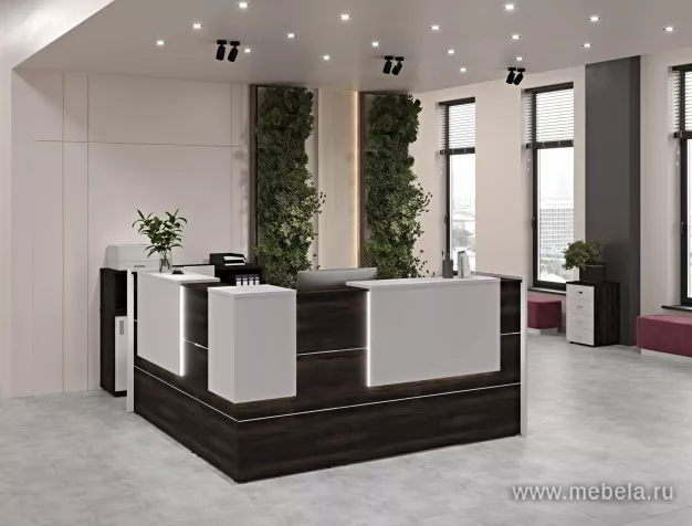 ресепшн Оникс Мали