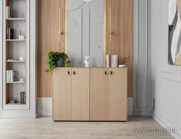 кабинет Ренц Лайт