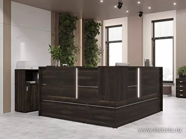 ресепшн Оникс Мали